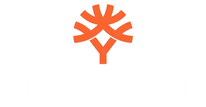 भागीदार जो Xbet के साथ काम करते हैं